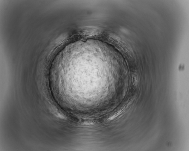 X0000098041393200804181243