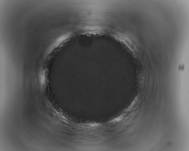 X0000098041399200804181243