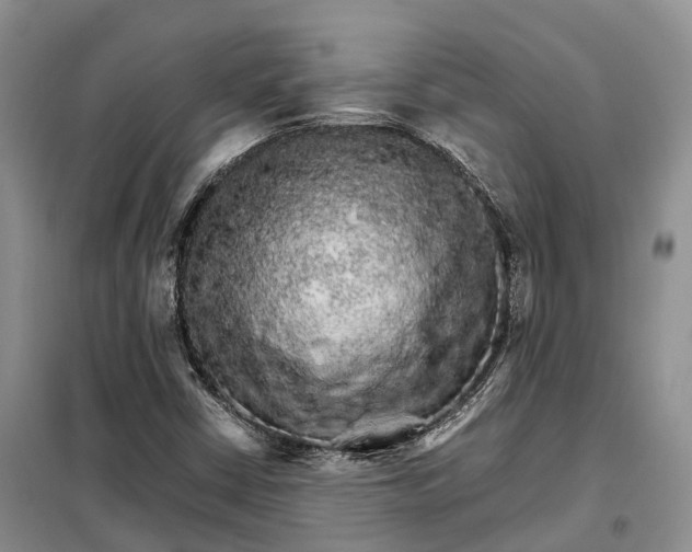 X0000098041402200804181243