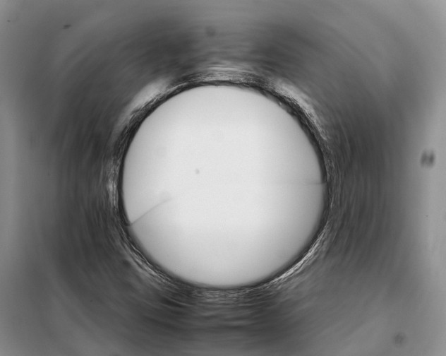 X0000098041403200804181243