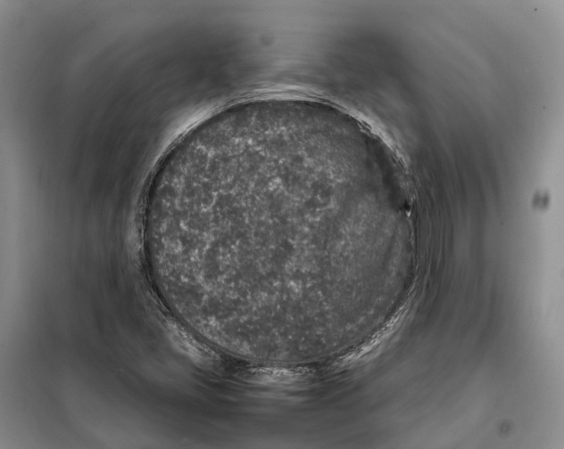 X0000098041405200804181243