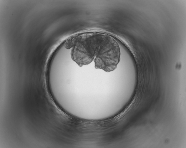 X0000098041414200804181244