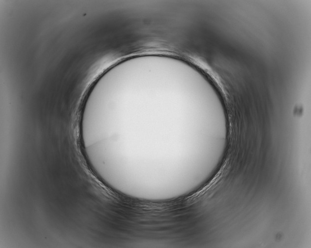 X0000098041415200804181244