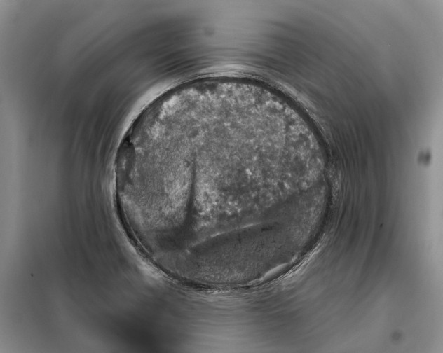 X0000098041418200804181244