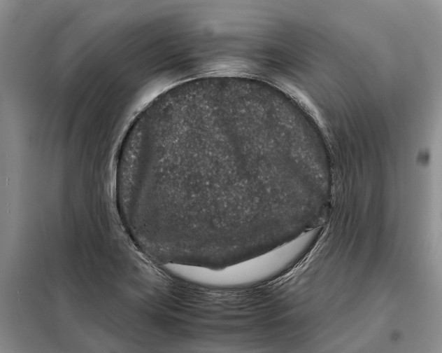 X0000098041419200804181244