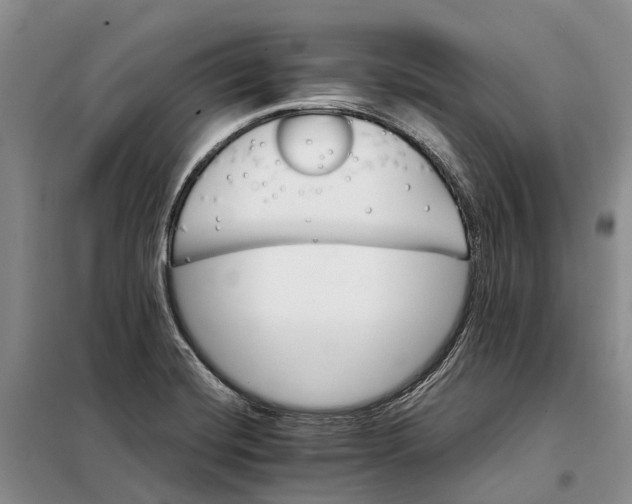 X0000098041420200804181244