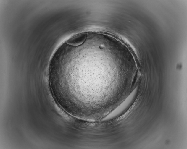 X0000098041421200804181244