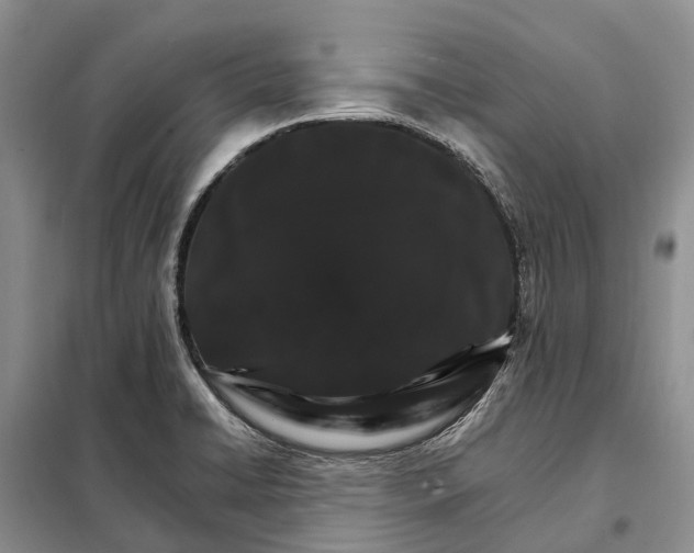 X0000098041422200804181244