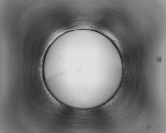 X0000098041423200804181244