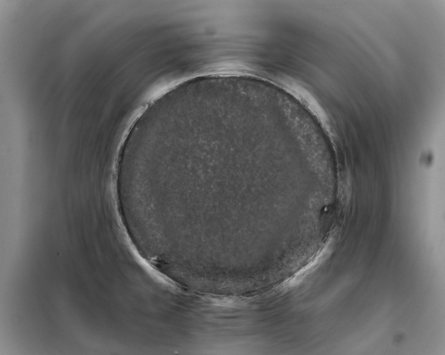 X0000098041429200804181244