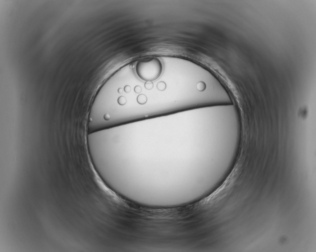 X0000098041433200804181244