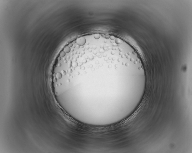 X0000098041435200804181244