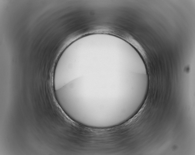 X0000098041436200804181244