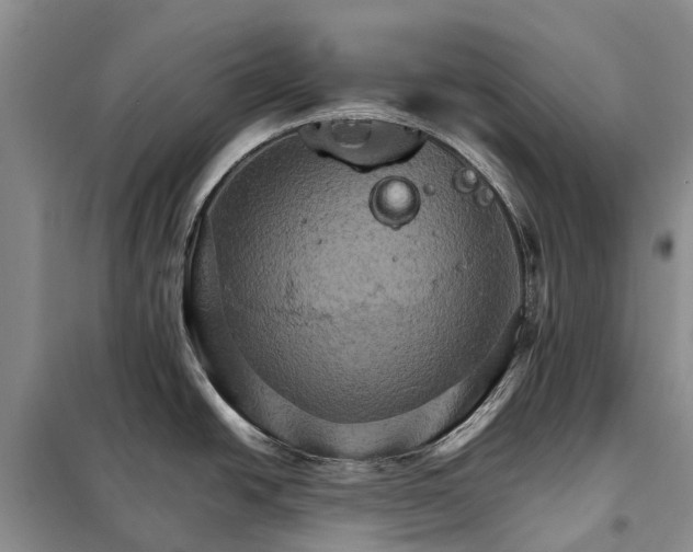 X0000098041438200804181244