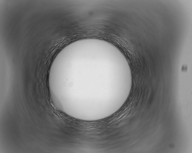 X0000098041441200804181243