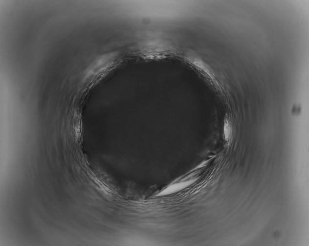 X0000098041444200804181243