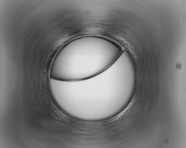 X0000098041449200804181243