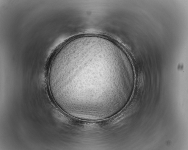 X0000098041454200804181243