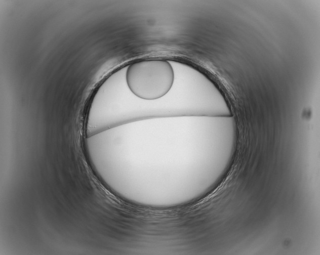 X0000098041459200804181243