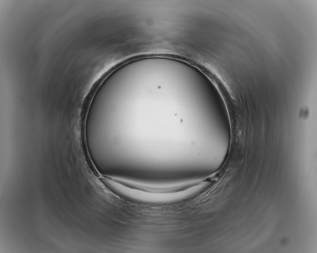 X0000098041460200804181243