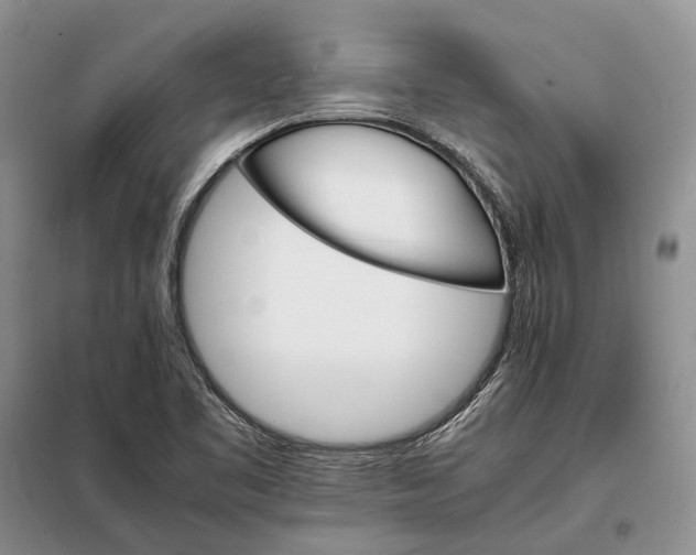 X0000098041461200804181243