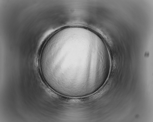 X0000098041462200804181243