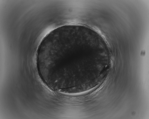 X0000098041463200804181243
