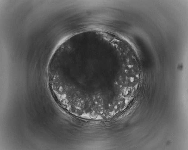 X0000098041467200804181243