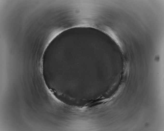 X0000098041468200804181243