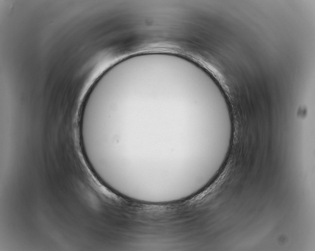 X0000098041470200804181243