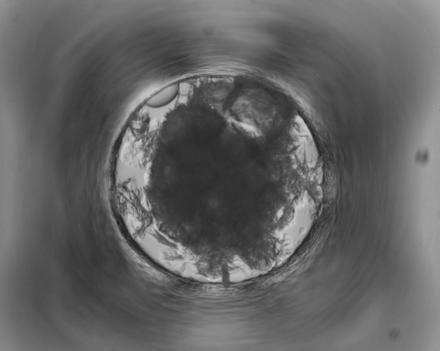 X0000098041471200804181242
