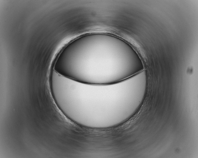 X0000098041472200804181242