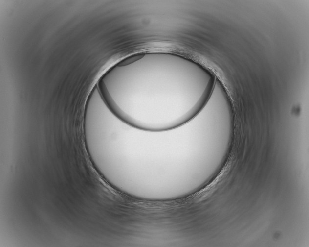 X0000098041473200804181242