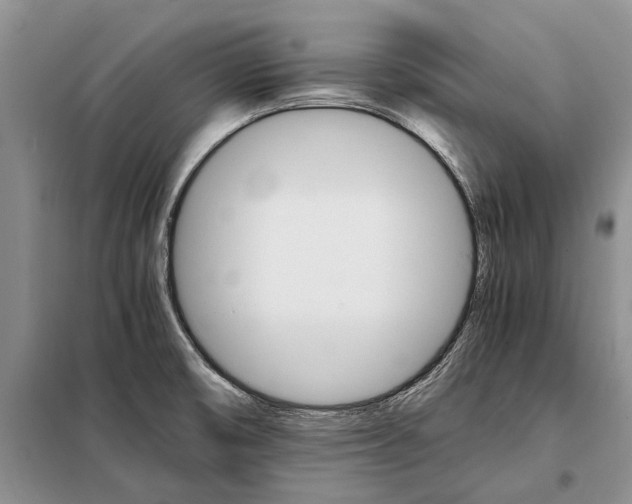 X0000098041474200804181242