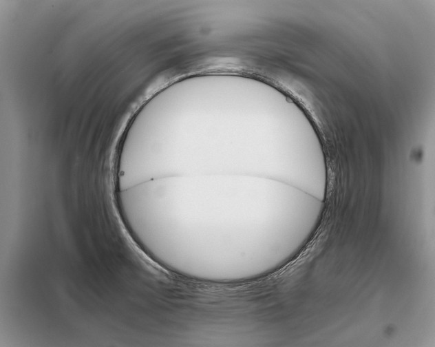 X0000098041475200804181242