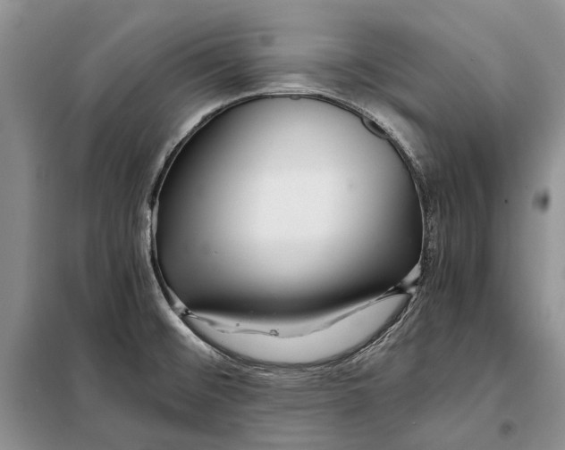 X0000098041476200804181242