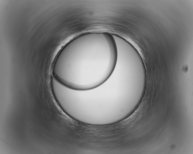 X0000098041477200804181242