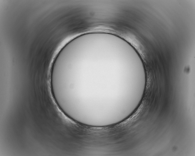 X0000098041478200804181242