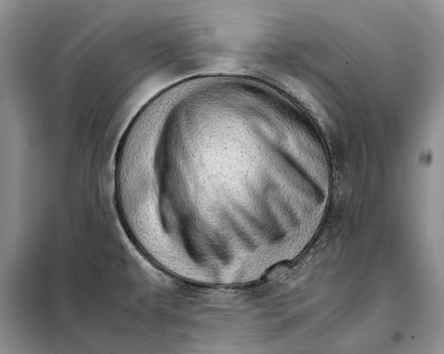 X0000098041479200804181242