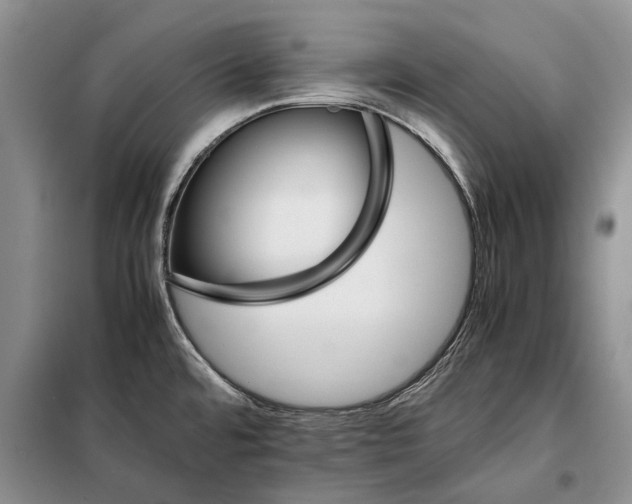 X0000098041480200804181242
