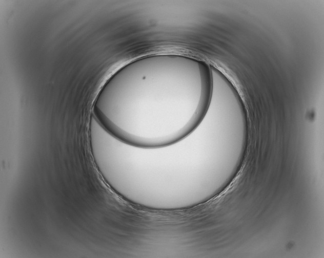X0000098041481200804181242