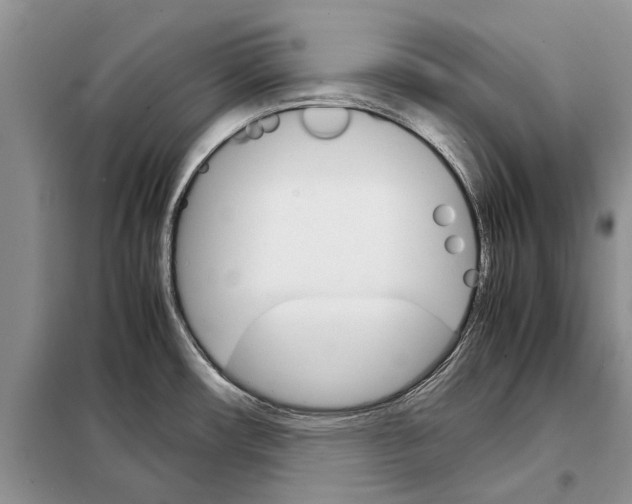 X0000098041482200804181242