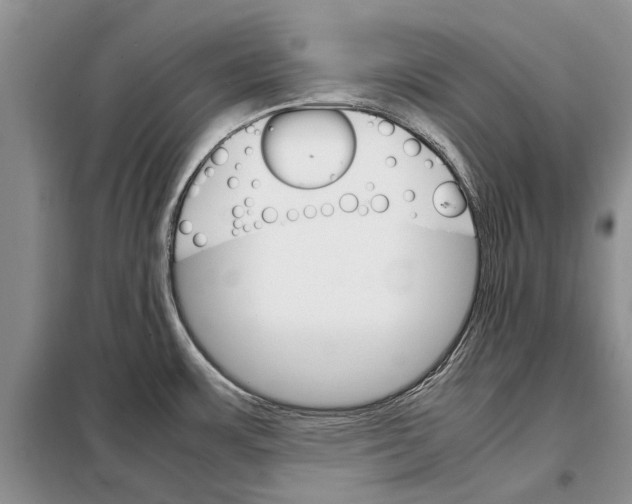 X0000098041483200804181242