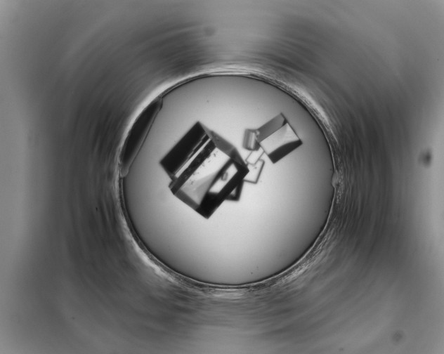 X0000098041484200804181242
