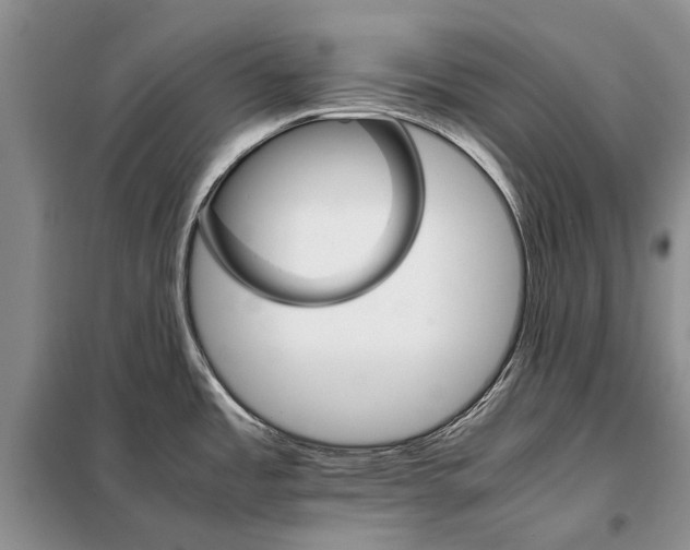 X0000098041485200804181242