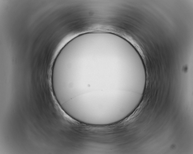 X0000098041486200804181242