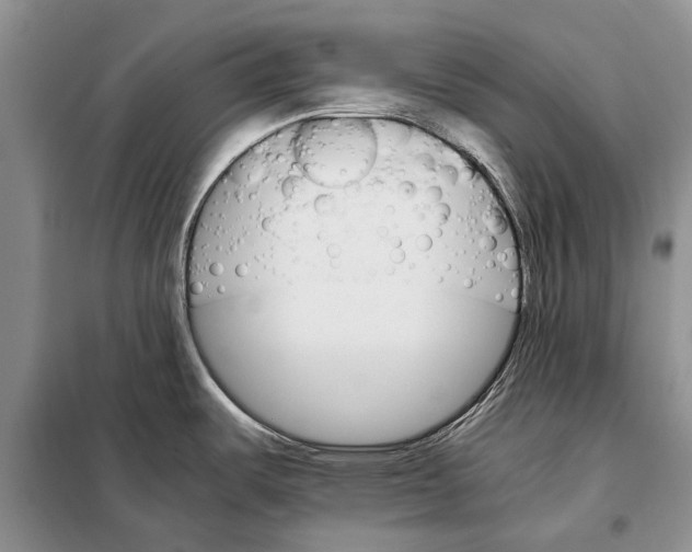 X0000098041487200804181242