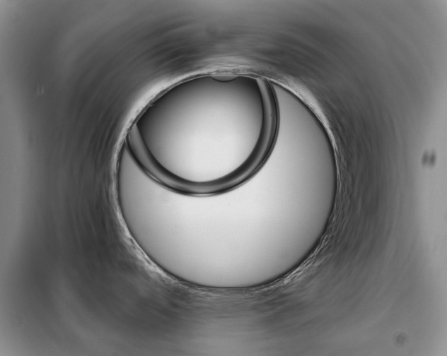 X0000098041488200804181242