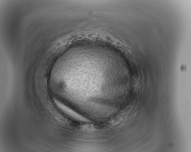 X0000098041489200804181241