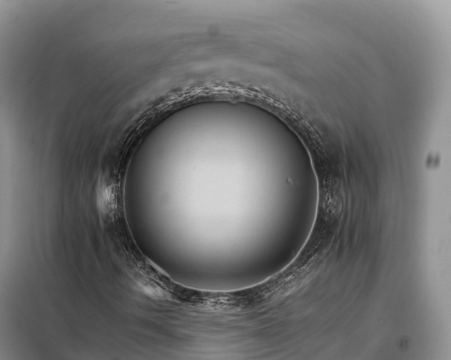X0000098041490200804181241